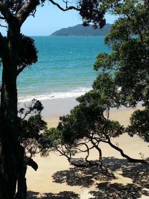 Doubtless Bay Lodge