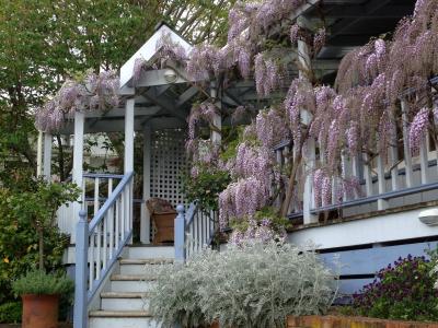 Rose Cottage B&B