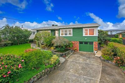 Elegant House in Auckland