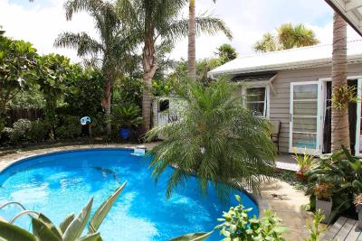 Devonport Palms