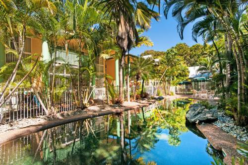 A Tropical Nite