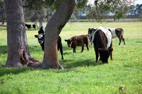 Sandy Lake Farm