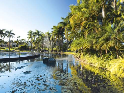 Oaks Oasis