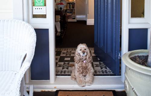 Melba House Boutique B&B