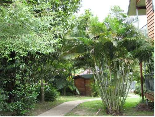 Byfield Creek Lodge B & B