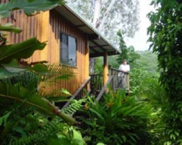 Milkwood Lodge
