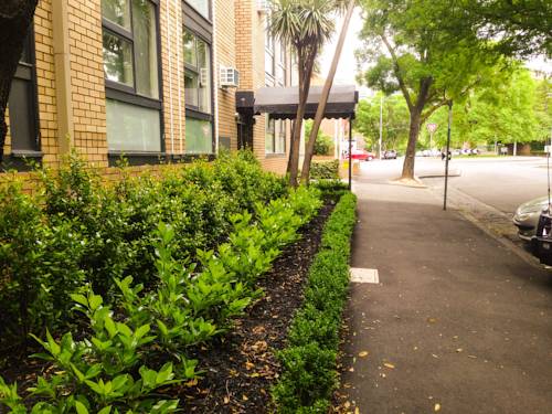 George Powlett Apartments