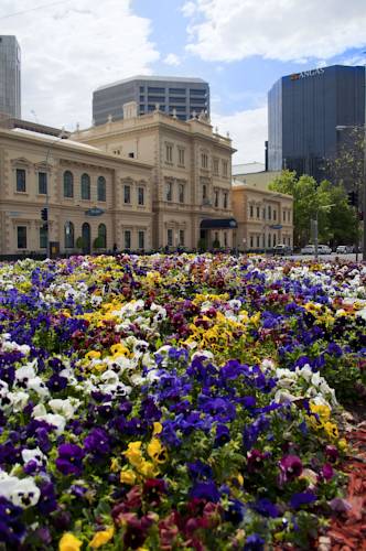 Adina Apartment Hotel Adelaide Treasury