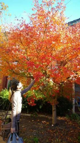 Australian Home Away @ Box Hill Studios