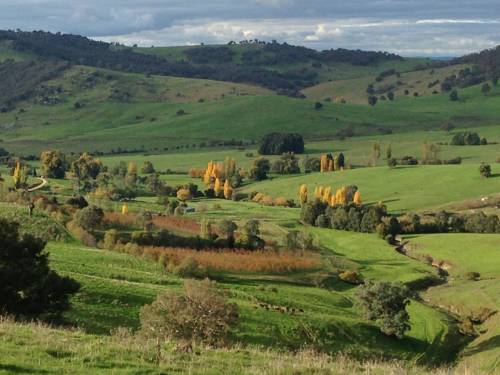 Moorallie Cottage Farmstay