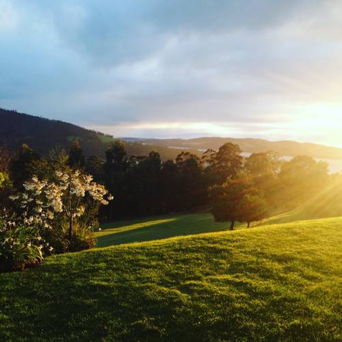 Arjuna Ridge Bed and Breakfast