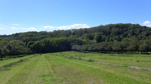Odermatt Farm Stay