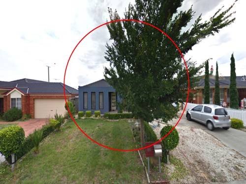 Homestay Melbourne