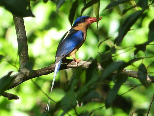Daintree Valley Haven