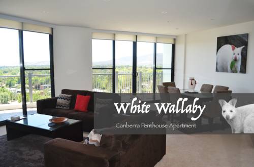 White Wallaby