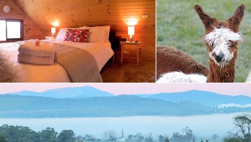 Alpine Farmstay Apartments