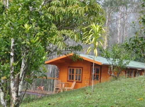 Mt Warning Bed & Breakfast Retreat