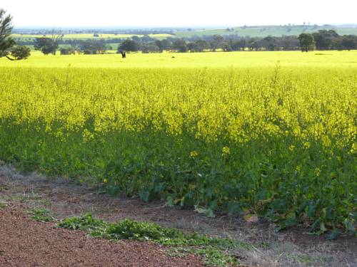 Kadina Bed & Breakfast