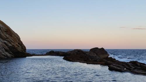 Bellbird Cottage B&B
