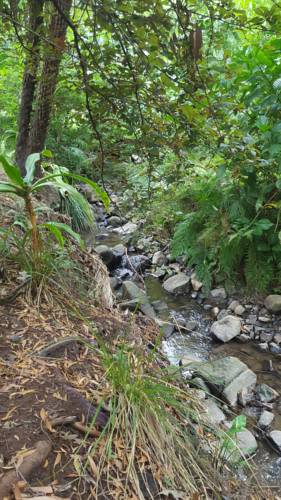 PADDYS CREEK RETREAT