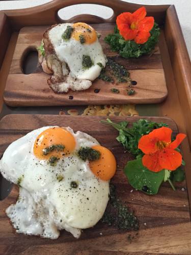 Scobie's Boutique Bed & Breakfast